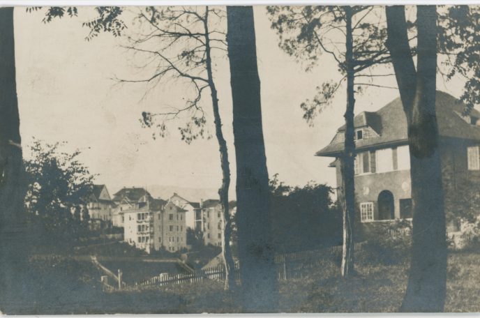 Između perivoja i vila: skrivena elegancija Josipovca